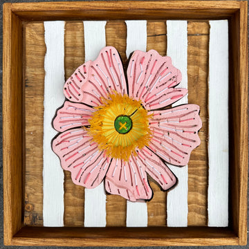 Striped Poppy 3