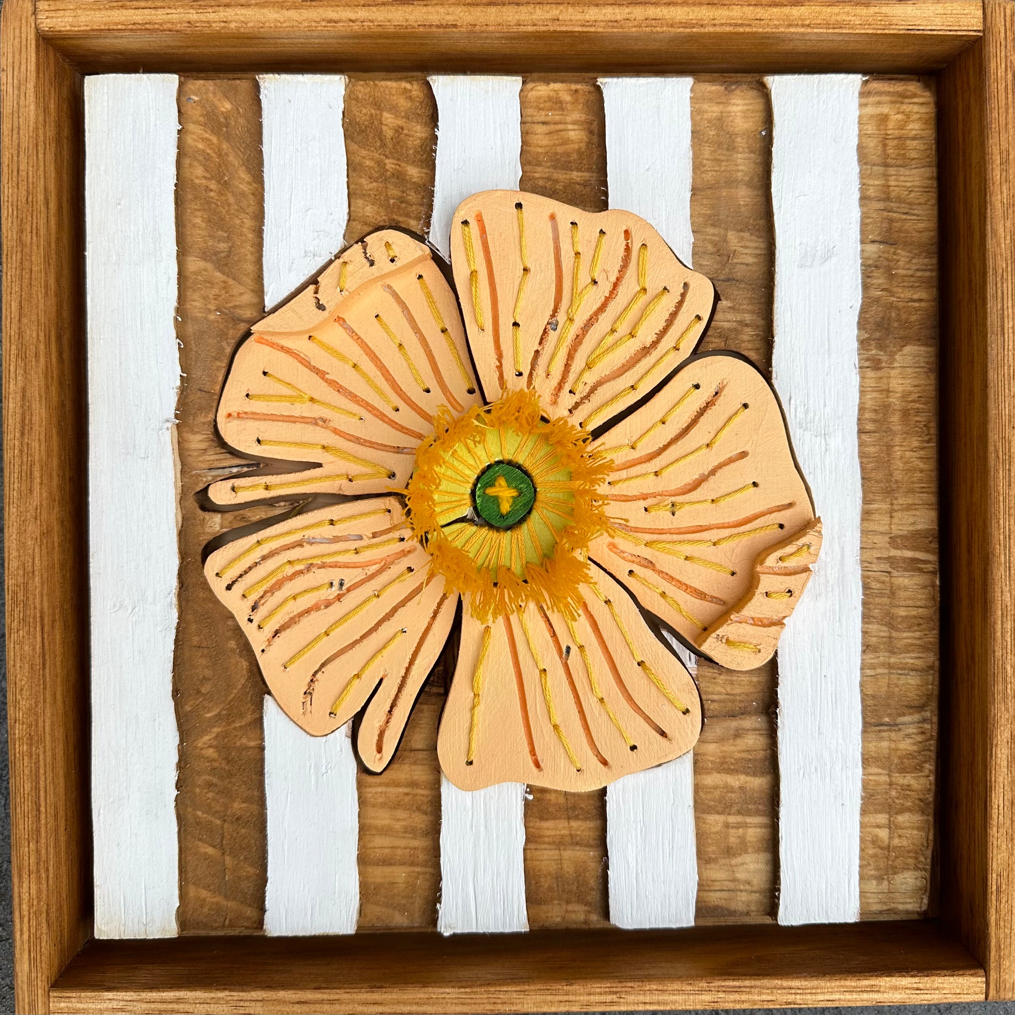 Striped Poppy 1